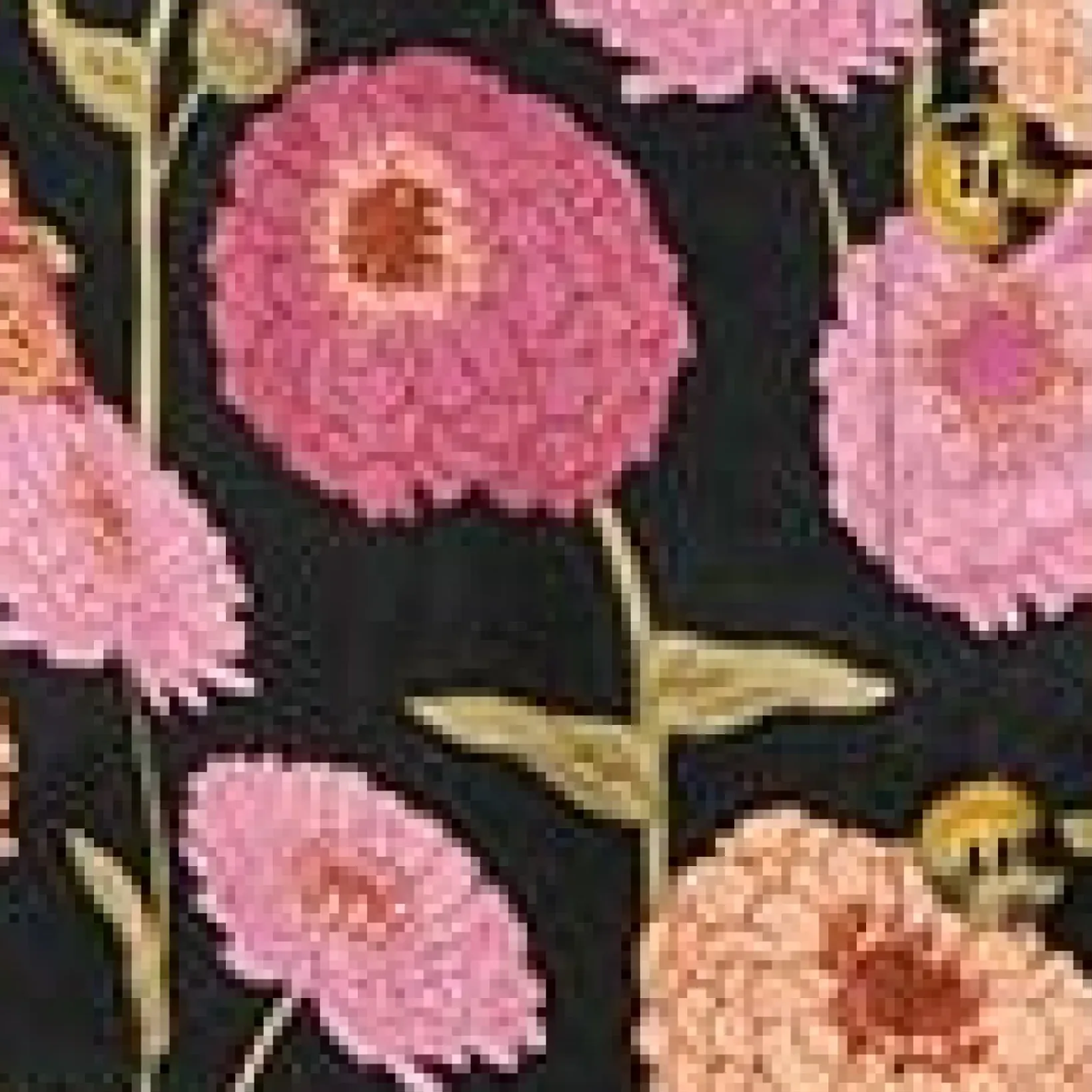 Unique Vintage Everyday Dresses>Black & Zinnia Floral Fit & Flare Dress
