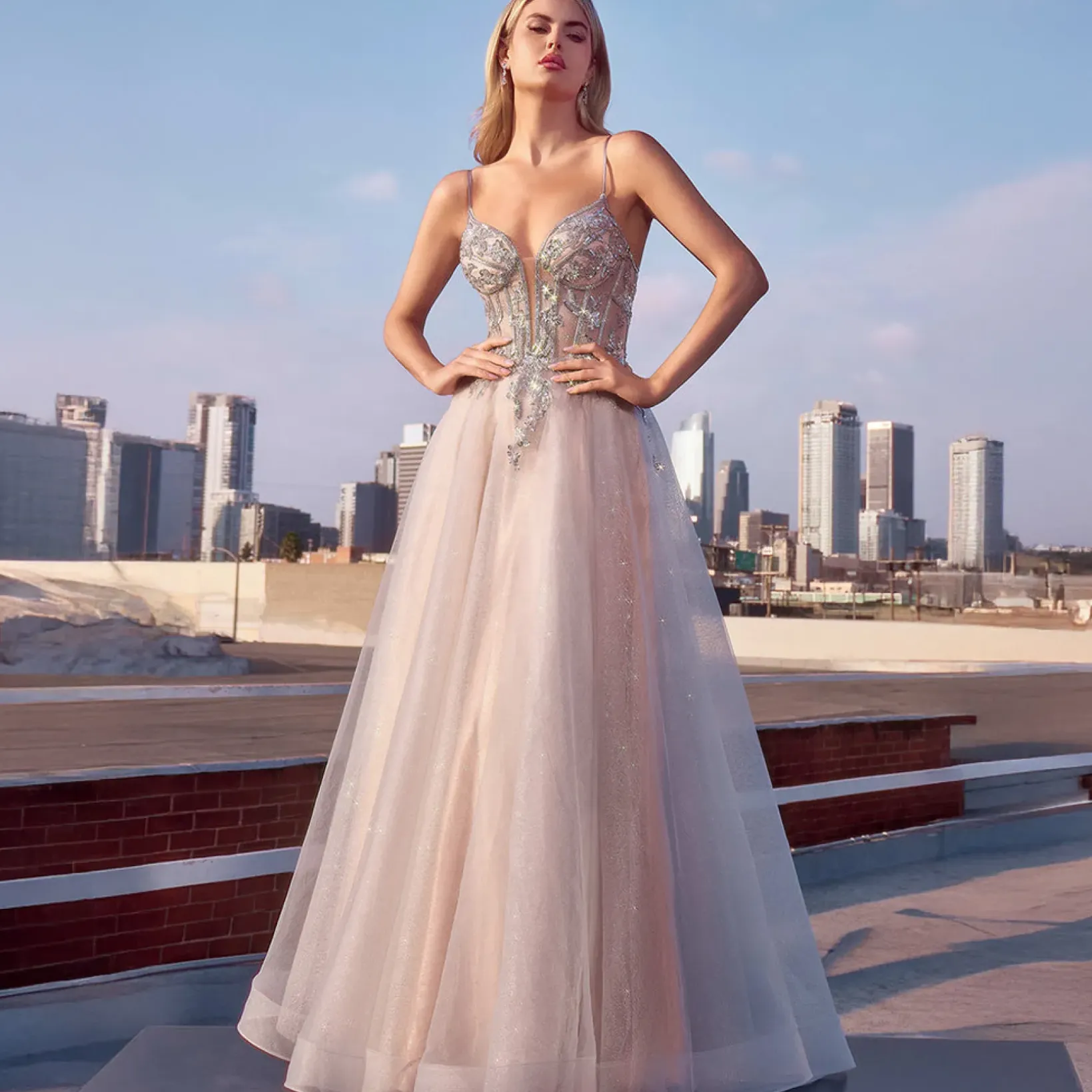 Unique Vintage Special Occasion|Prom Dresses>Cinderella Divine Silver Nude Applique Sleeveless Tulle Prom Dress