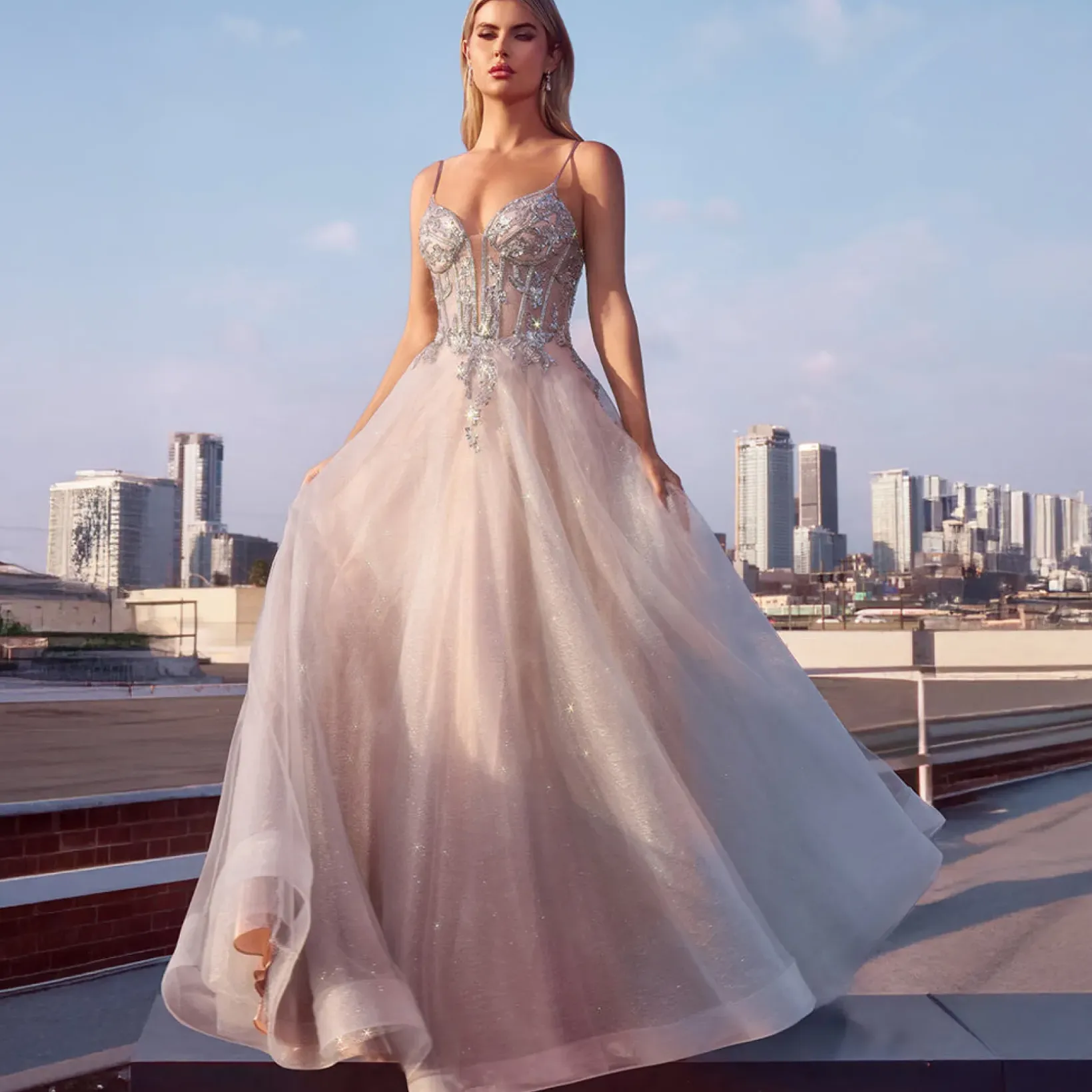 Unique Vintage Special Occasion|Prom Dresses>Cinderella Divine Silver Nude Applique Sleeveless Tulle Prom Dress