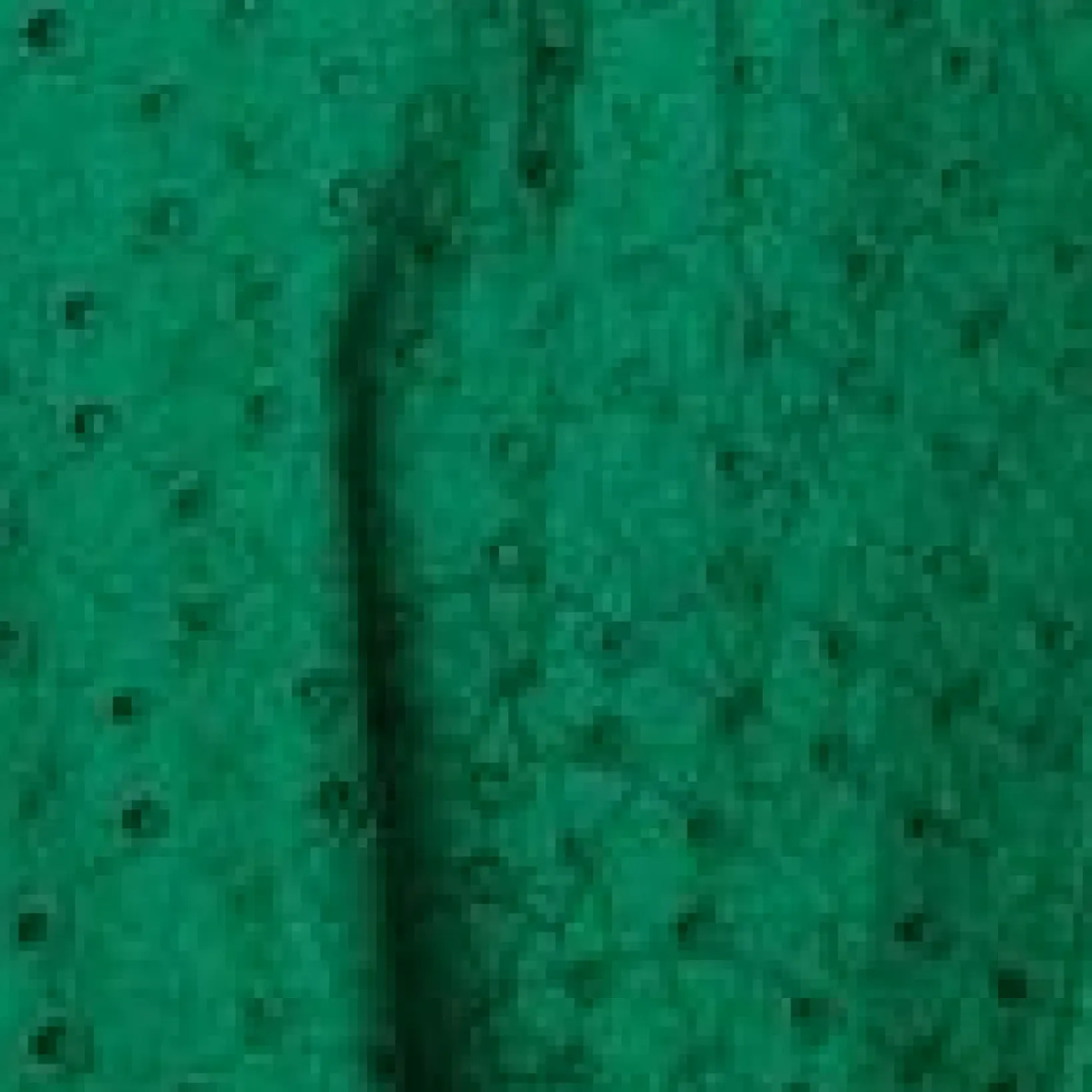 Unique Vintage Swing|Fit & Flare>Green Eyelet Ruffle Sleeve Swing Dress