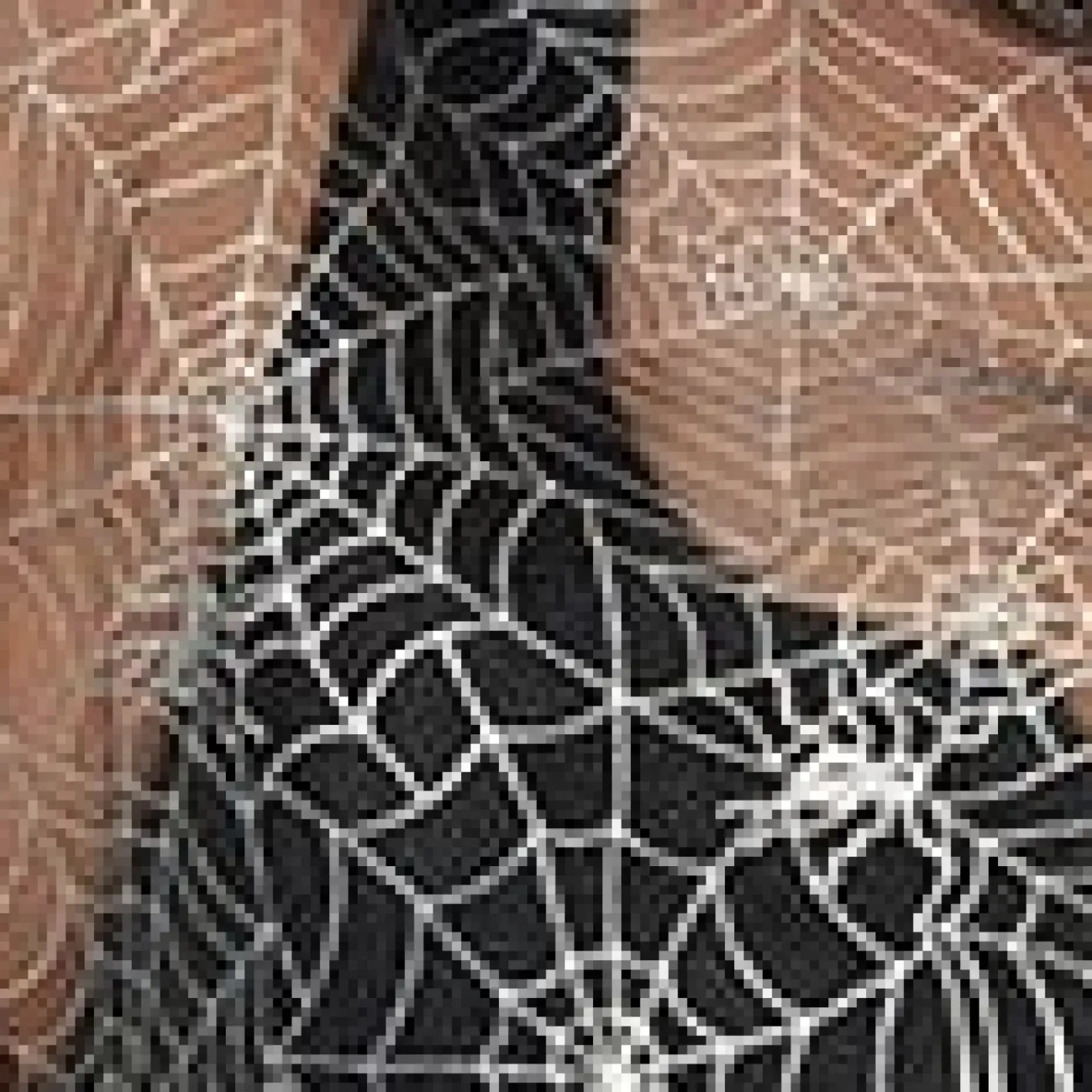 Unique Vintage Halloween>Magnolia Place Plus Size Black Spiderweb Capelet
