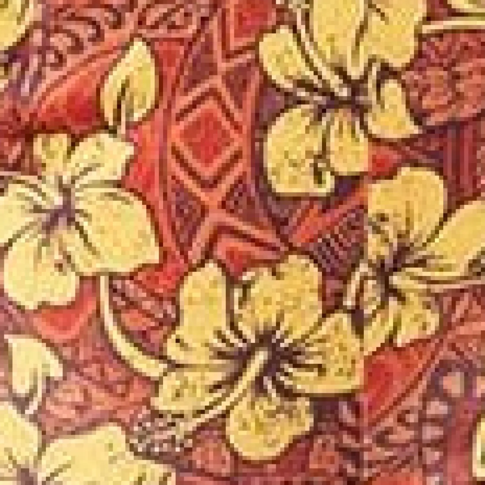 Unique Vintage Concert & Festivals>Orange & Yellow Tropical Floral Mimosa Capris