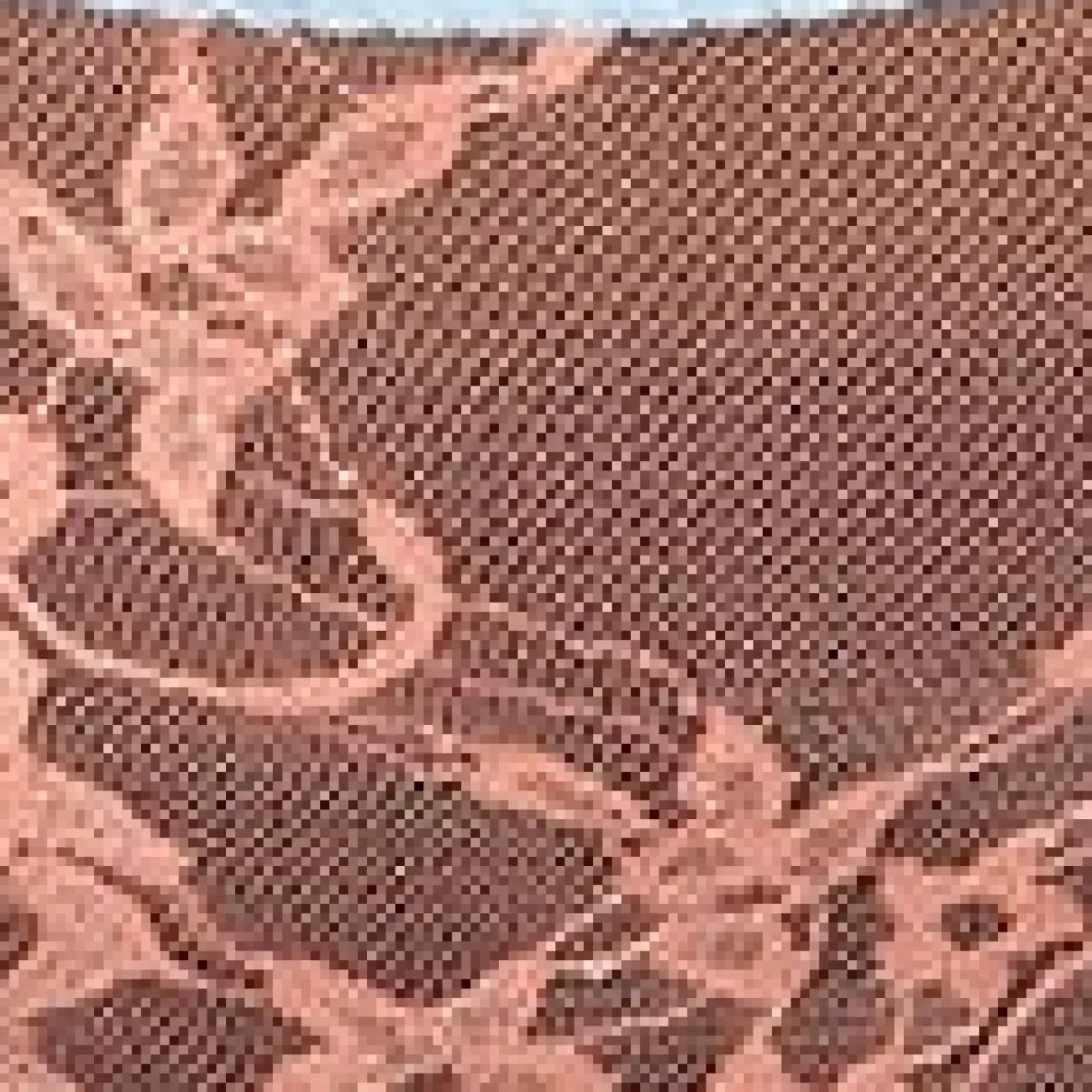 Unique Vintage Lingerie & Shapewear>Plus Size Light Blue & Peach Sheer Lace Cheeky Underwear