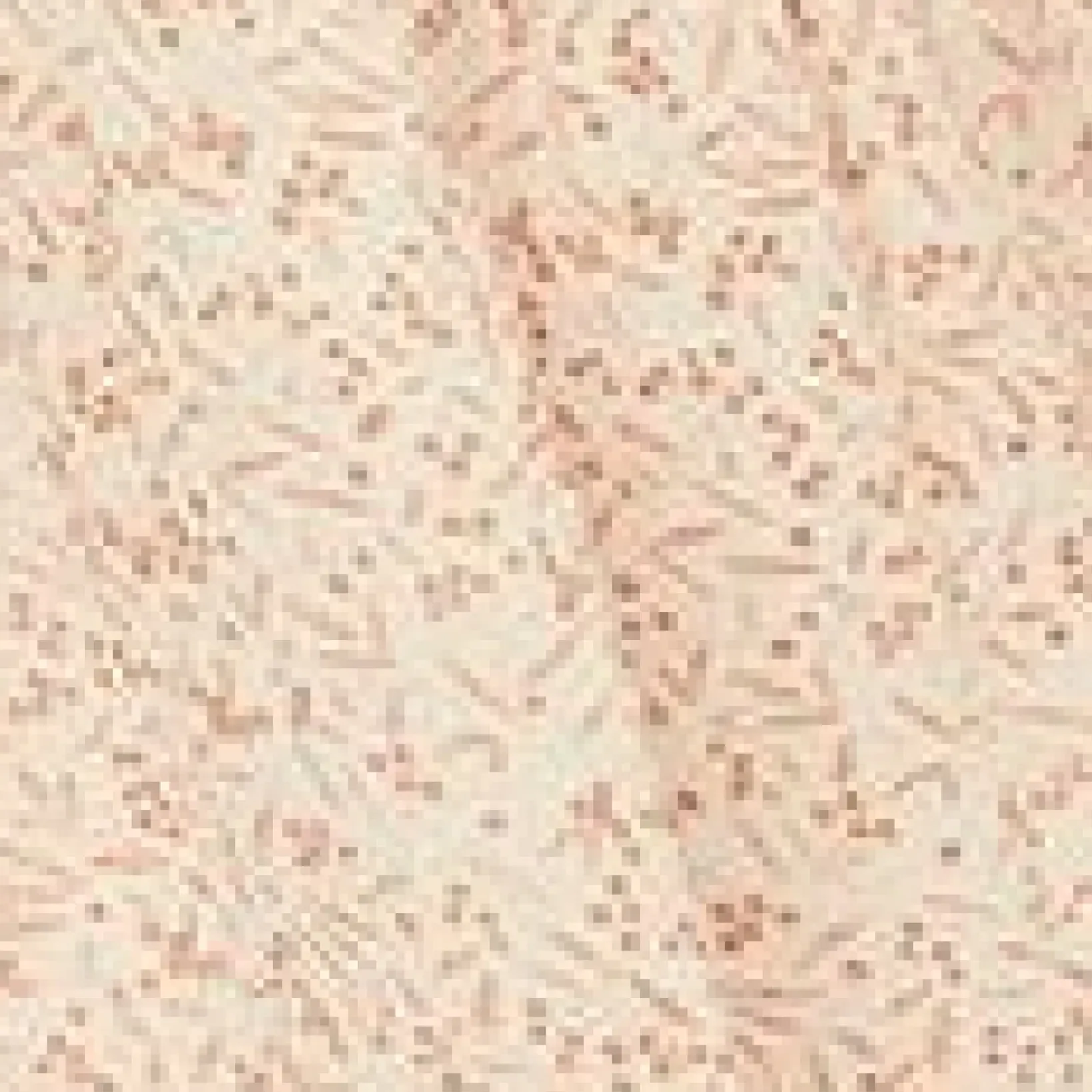 Unique Vintage Blouses>1970s Ivory & Coral Berries Print Crop Top