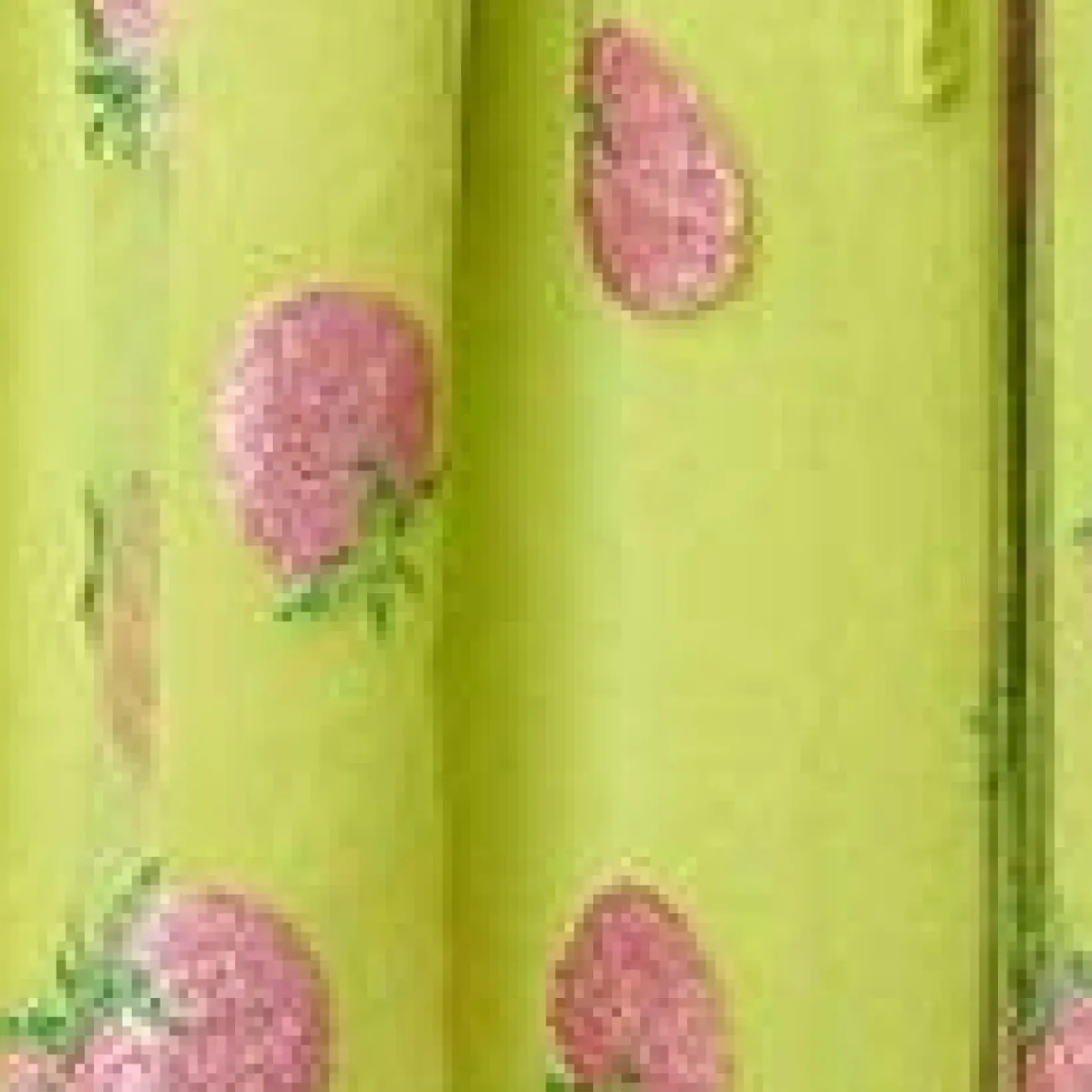 Unique Vintage Babydoll|Babydoll>Smak Parlour Avocado & Pink Strawberry Print Woodstock Flare Dress