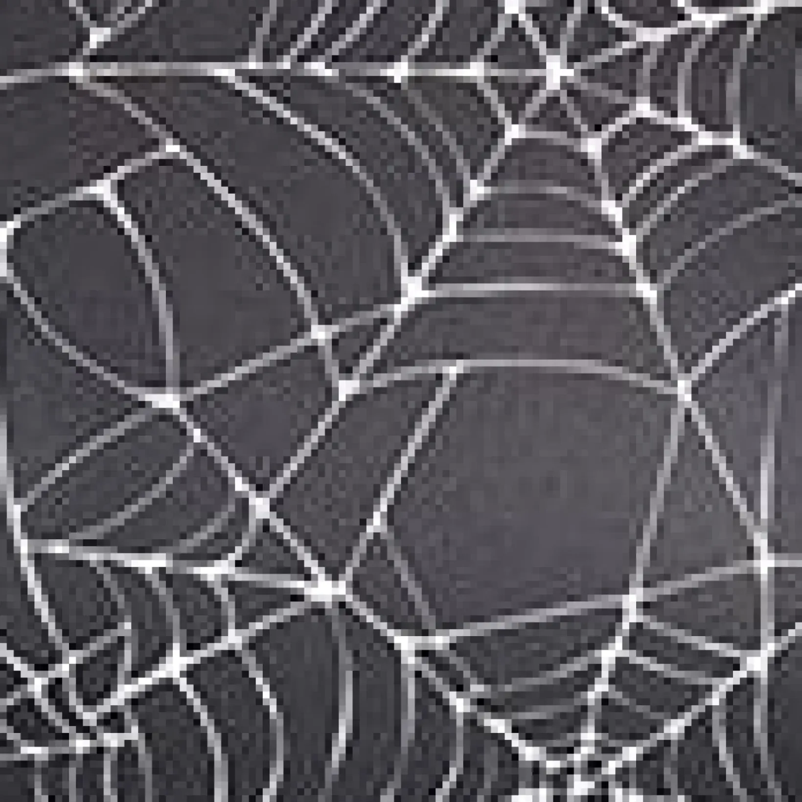 Unique Vintage All Things Black|Halloween>Black & White Spiderweb Scarlett Top