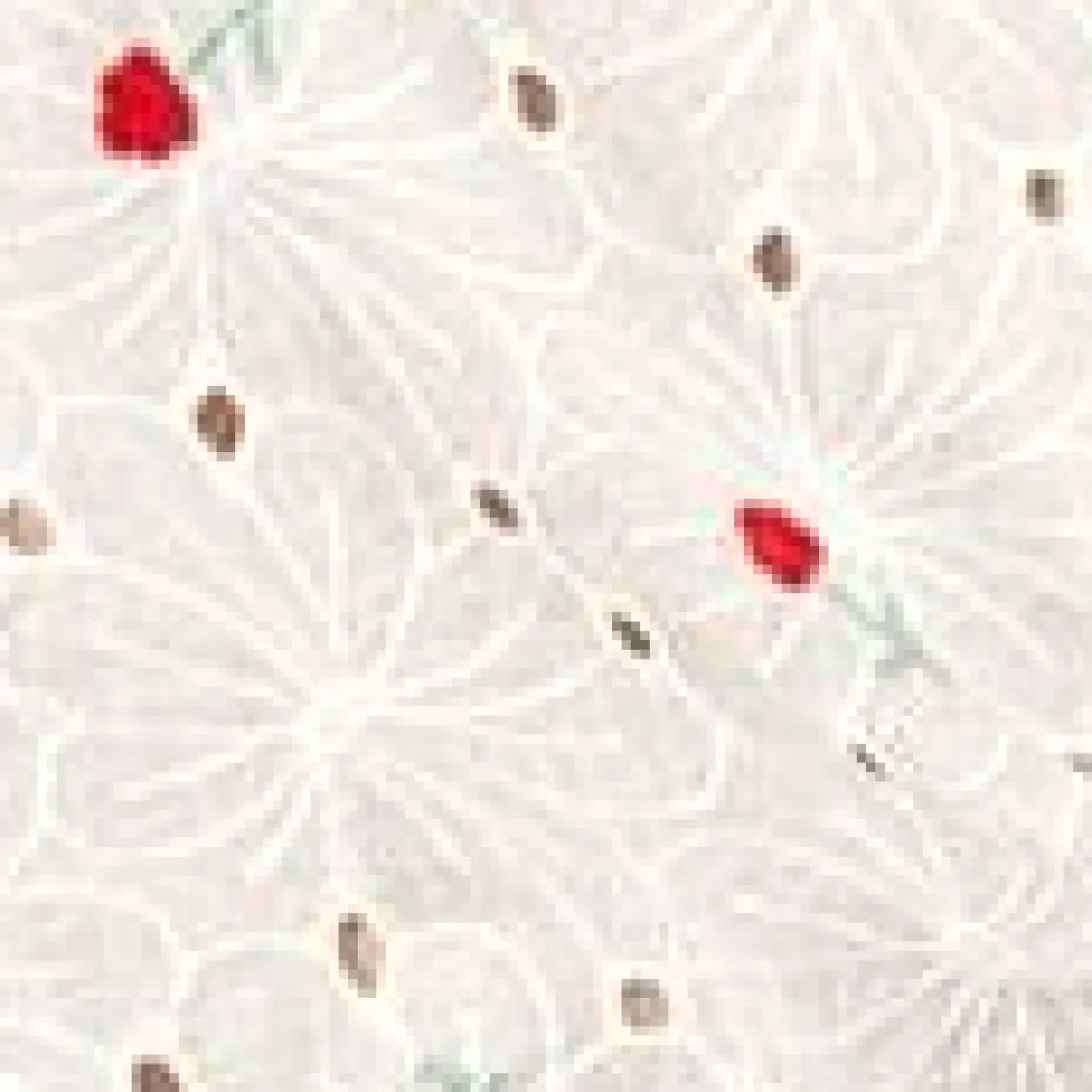 Unique Vintage All Things Red>White Eyelet & Red Florals Shirley Crop Top